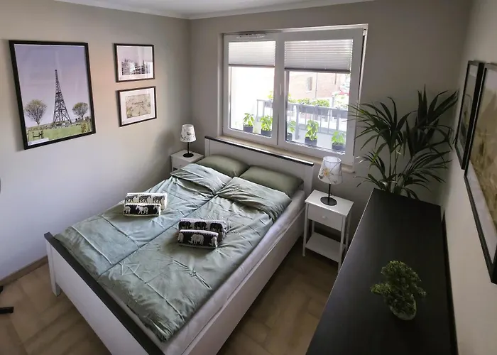 81 Degrees - Hot - Goraca Kwatera W Centrum Gliwic Z Prywatna Sauna